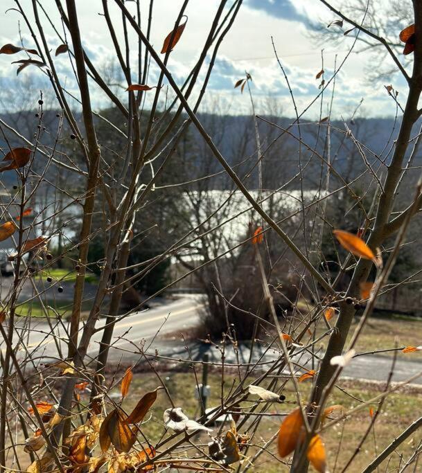 Driftwood Cottage With Hot Tub On Lake Cumberland Russell Springs Bagian luar foto